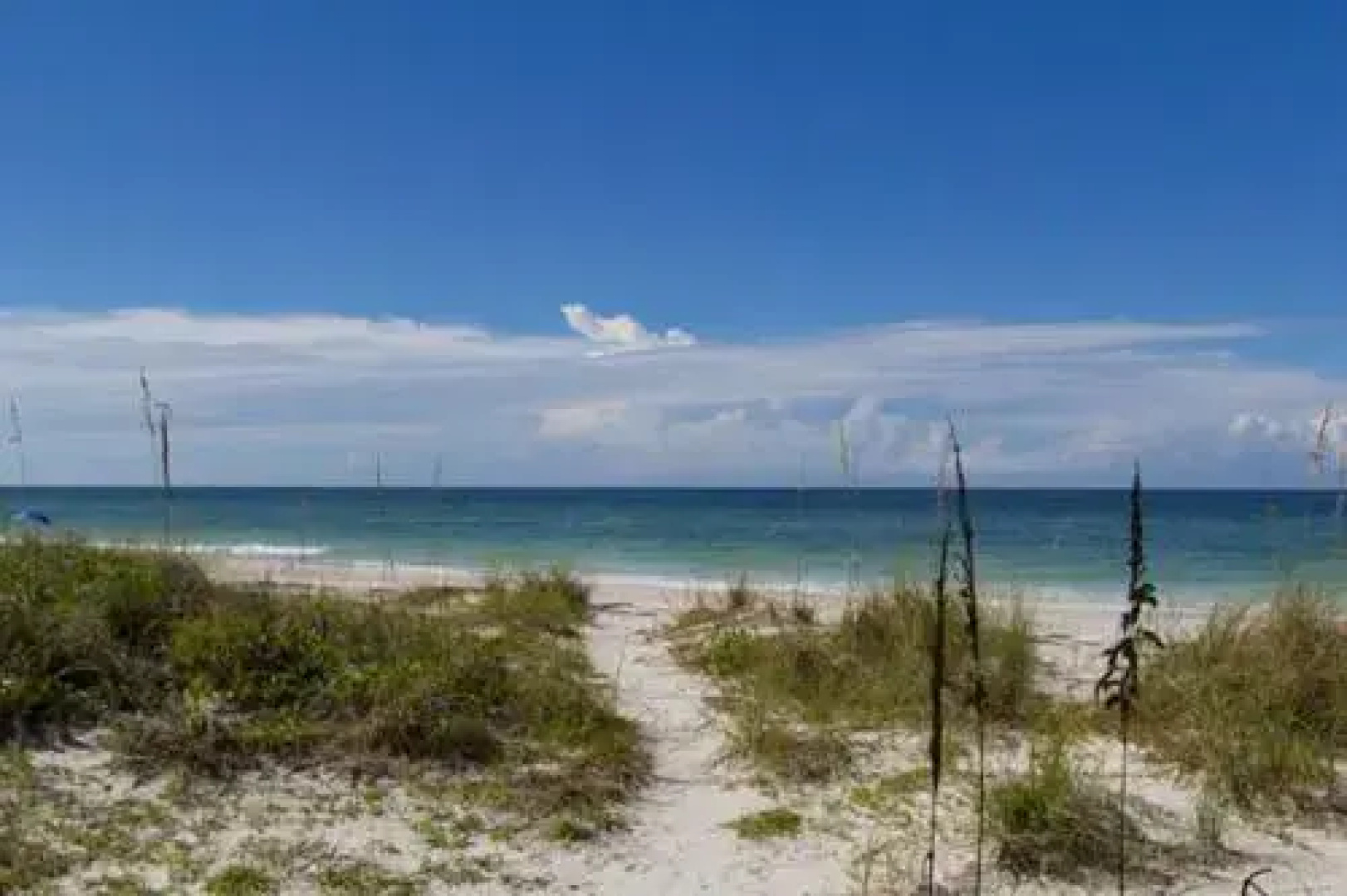 Coquina Beach Club Condo