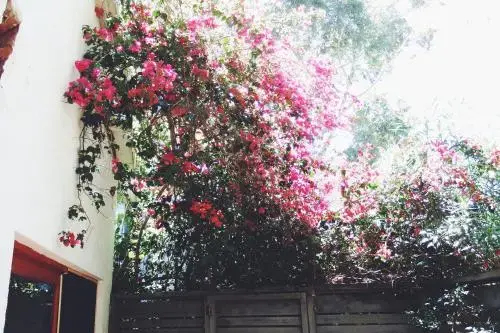 Andorina Hostel