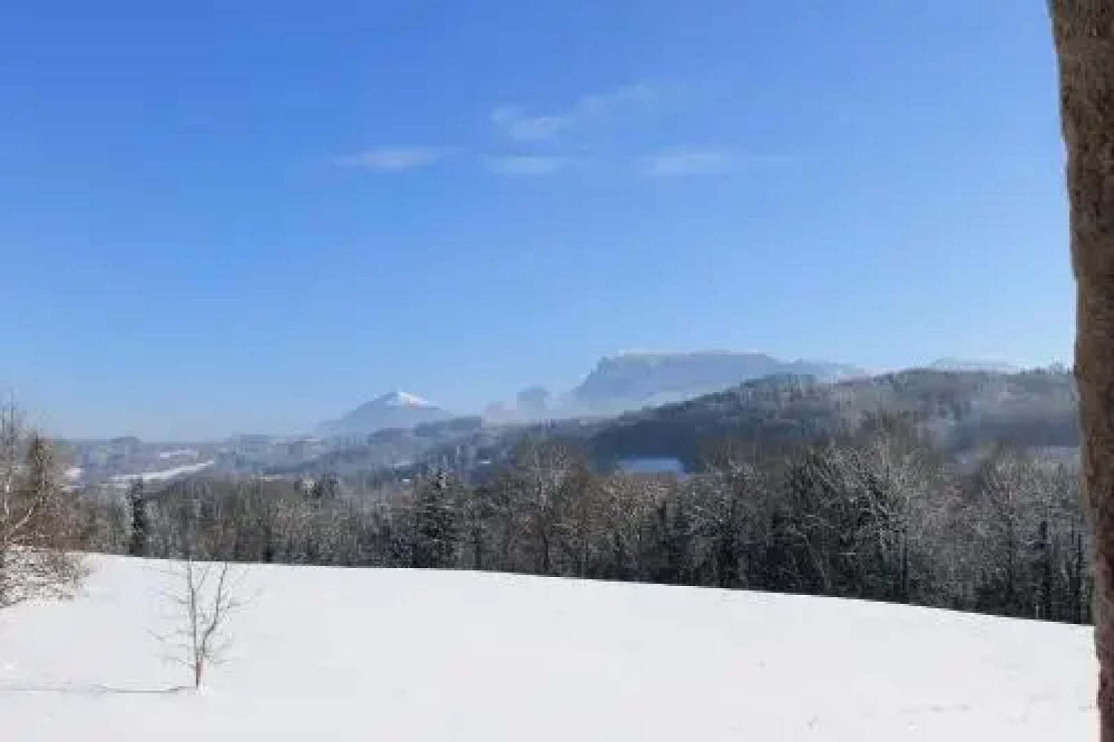 Domaine Les Trois Biches