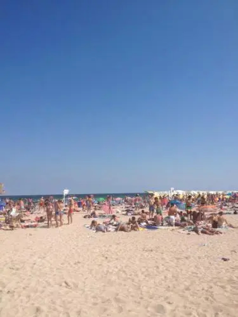 Vila Poienita