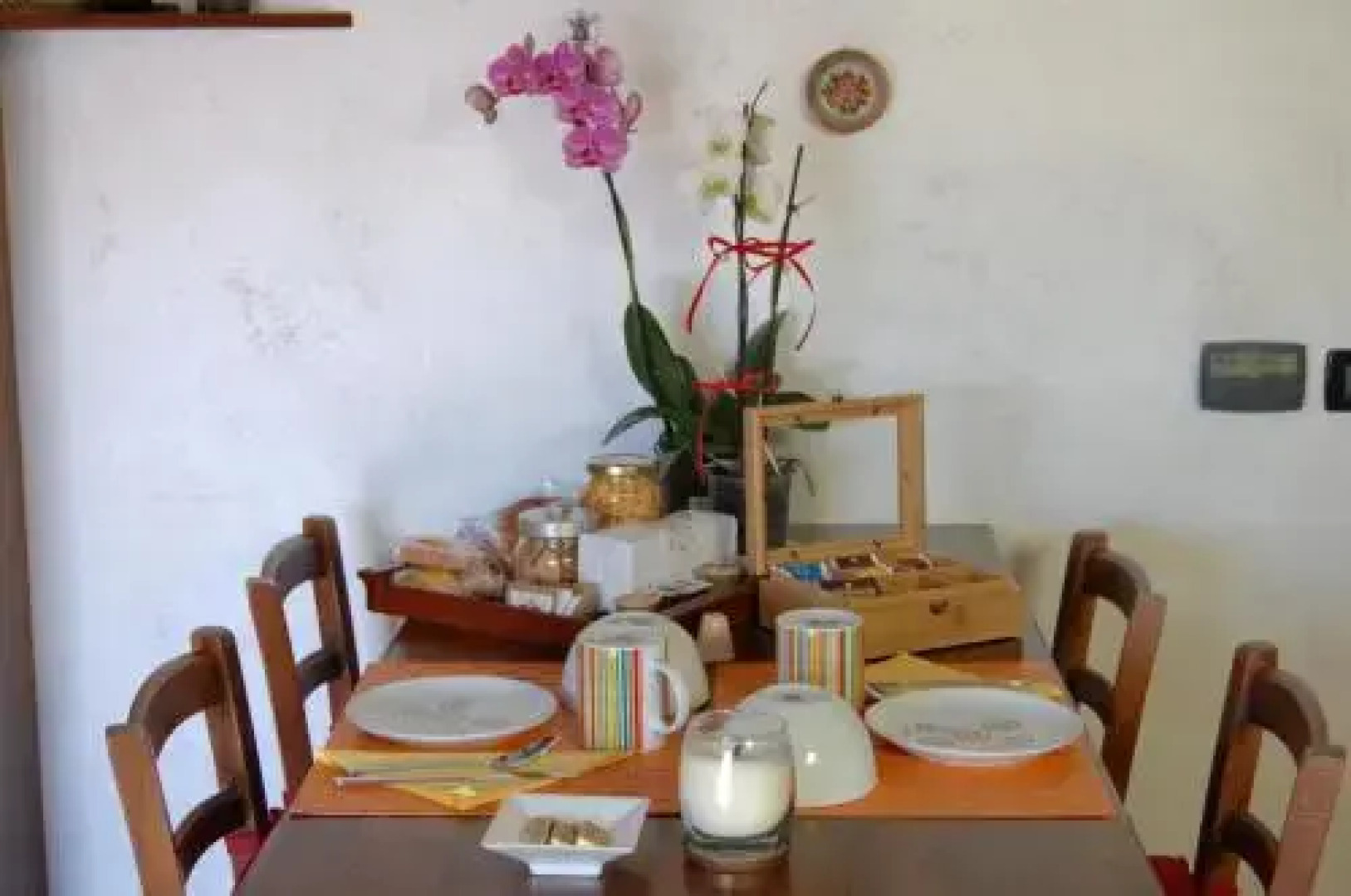 Le mille e una notte