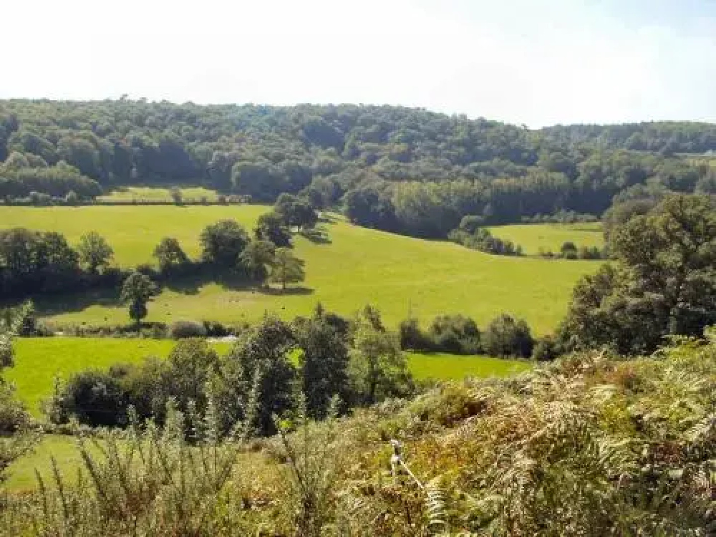 Fownhope Bed & Breakfast