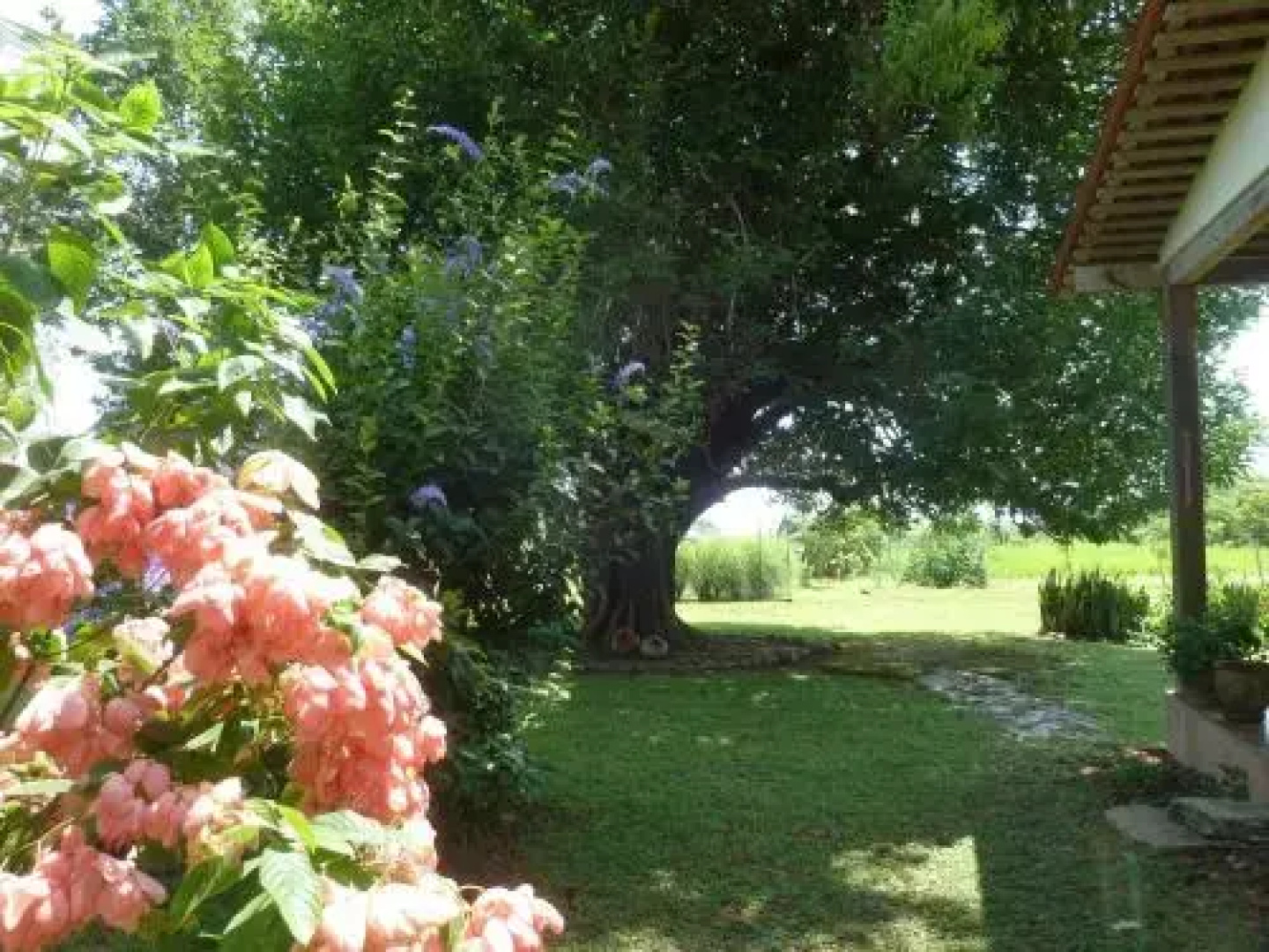 La Rosa de Los Vientos