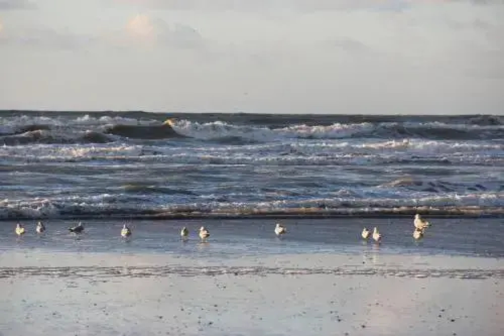 Appartement à Sainte-Cécile Plage