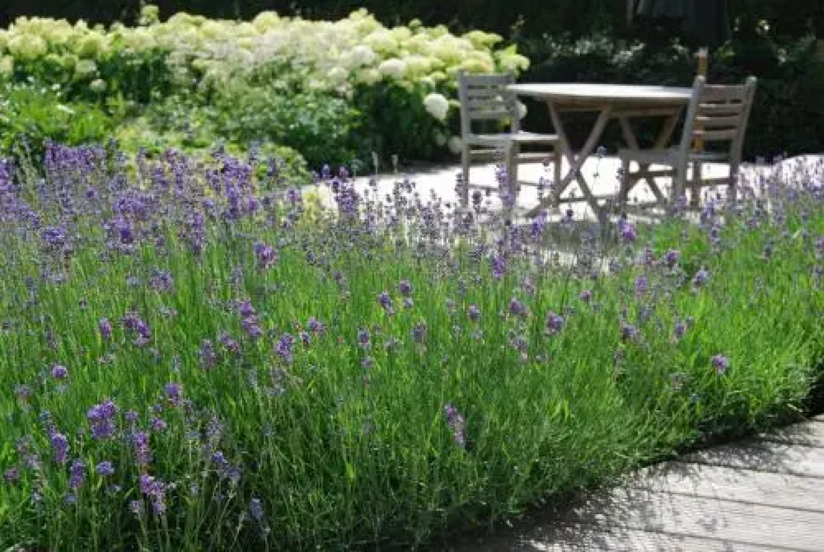 B&B t Groene Genoegen