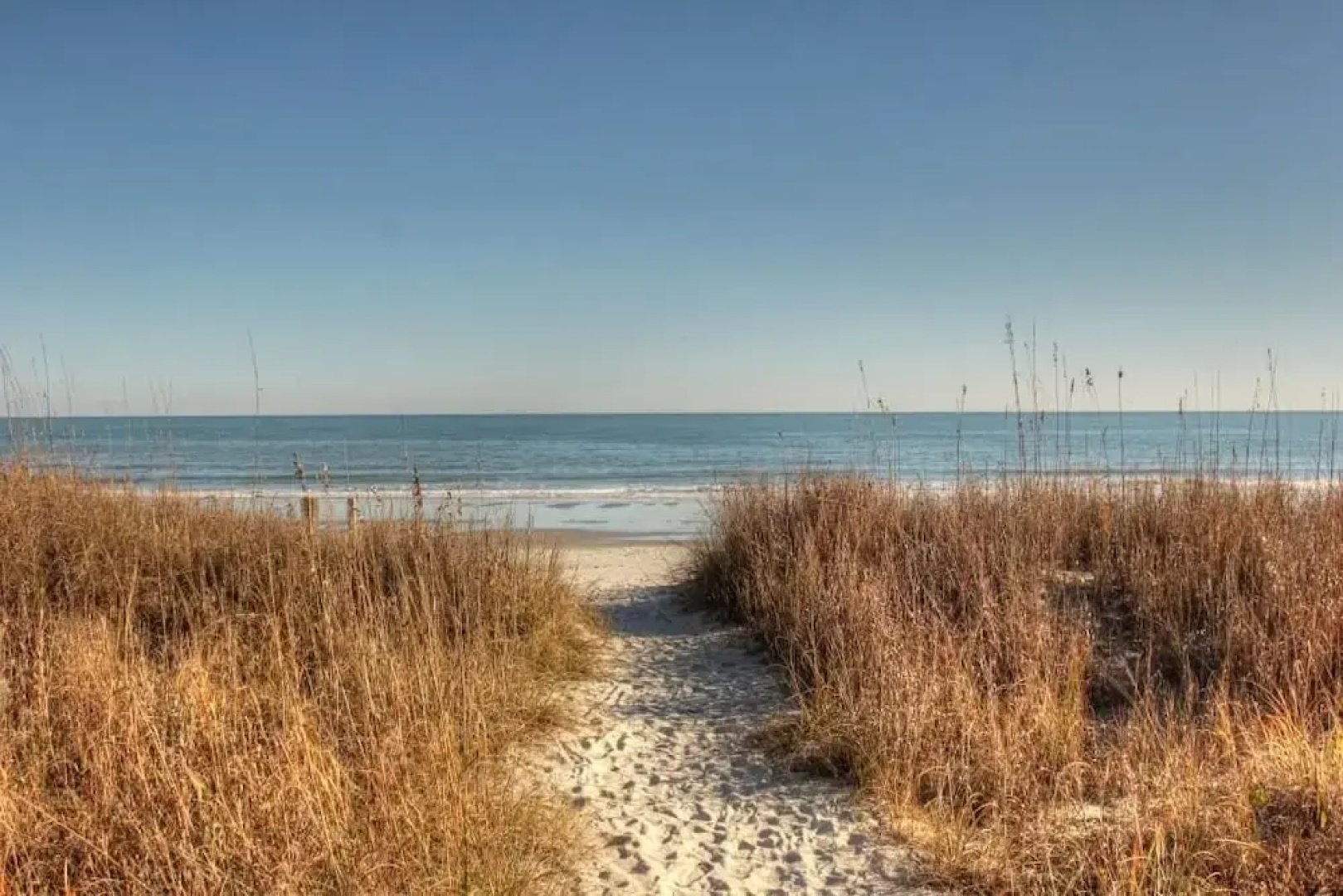 Ocean Forest 904 by RedAwning