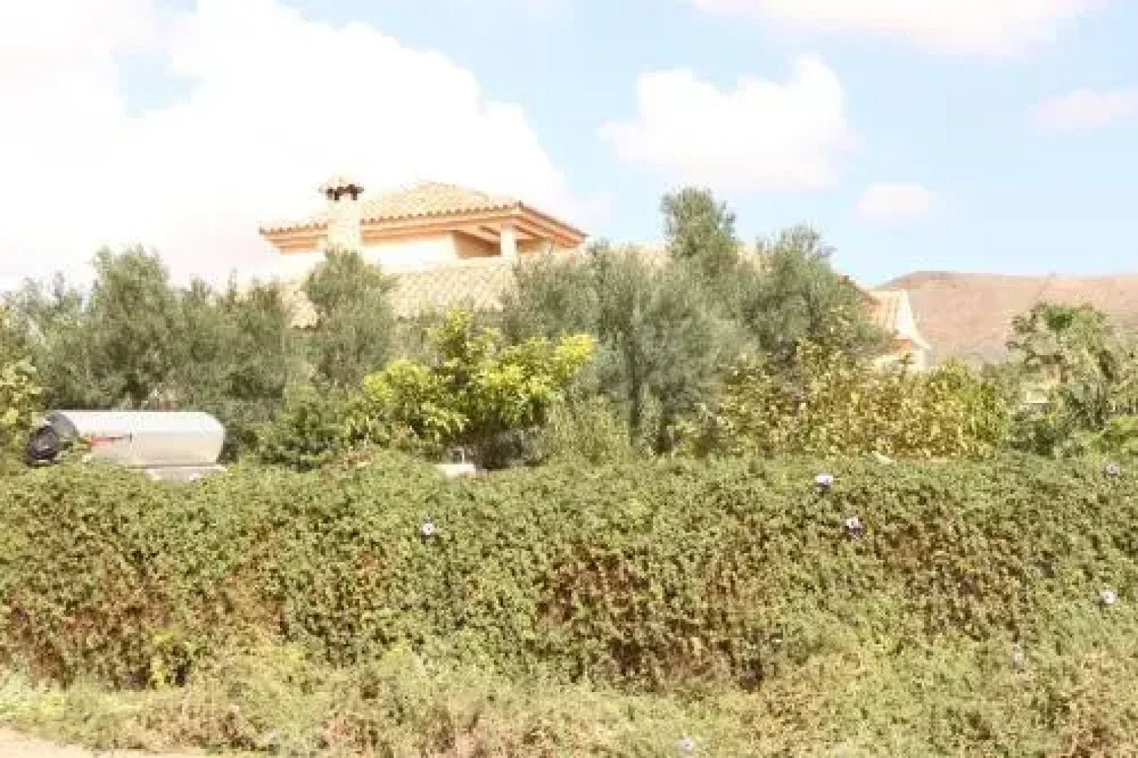 El Olivar Suites