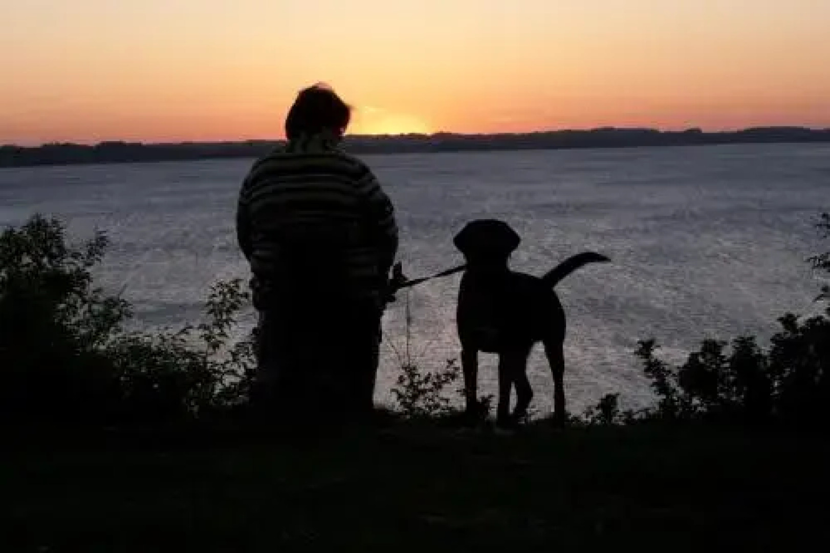 Hjarbæk Fjord Camping & Cottages