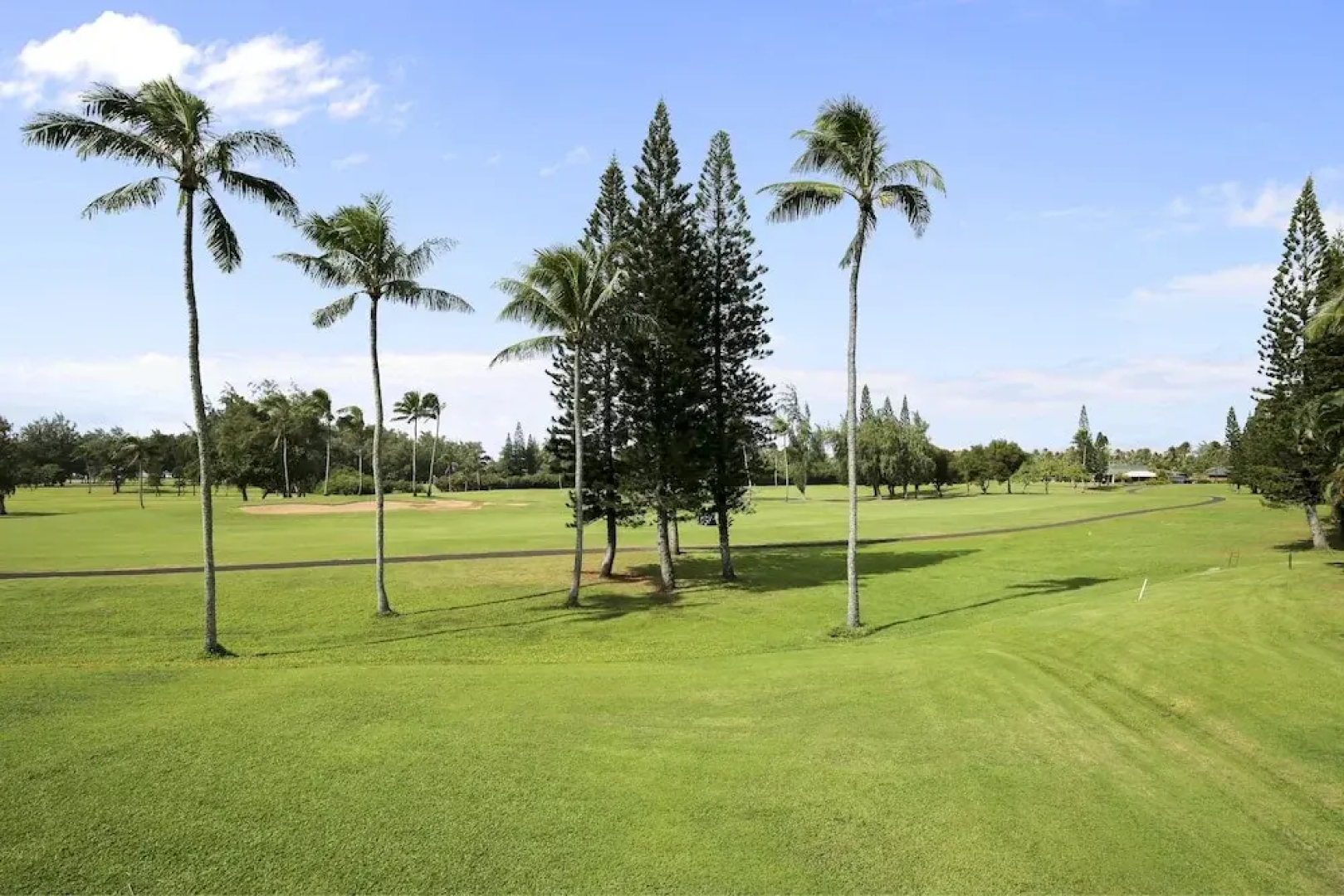 White Ginger Turtle Bay - 3 Br Condo