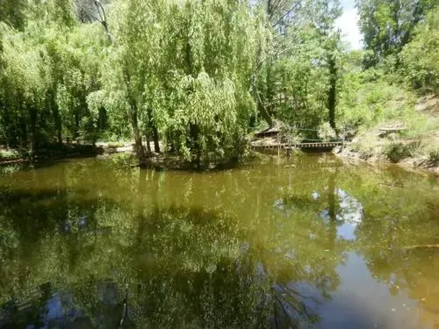 Le Lavandin