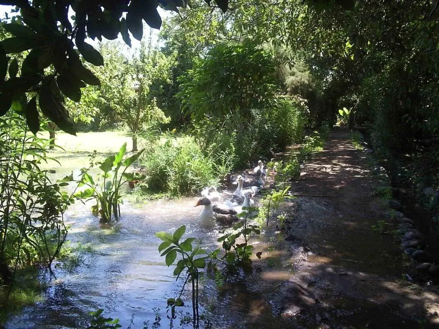 Alojamiento Rural Casa Quinta Peumayen