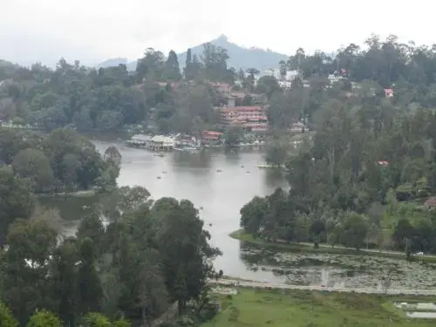 Misty Mountain cottage