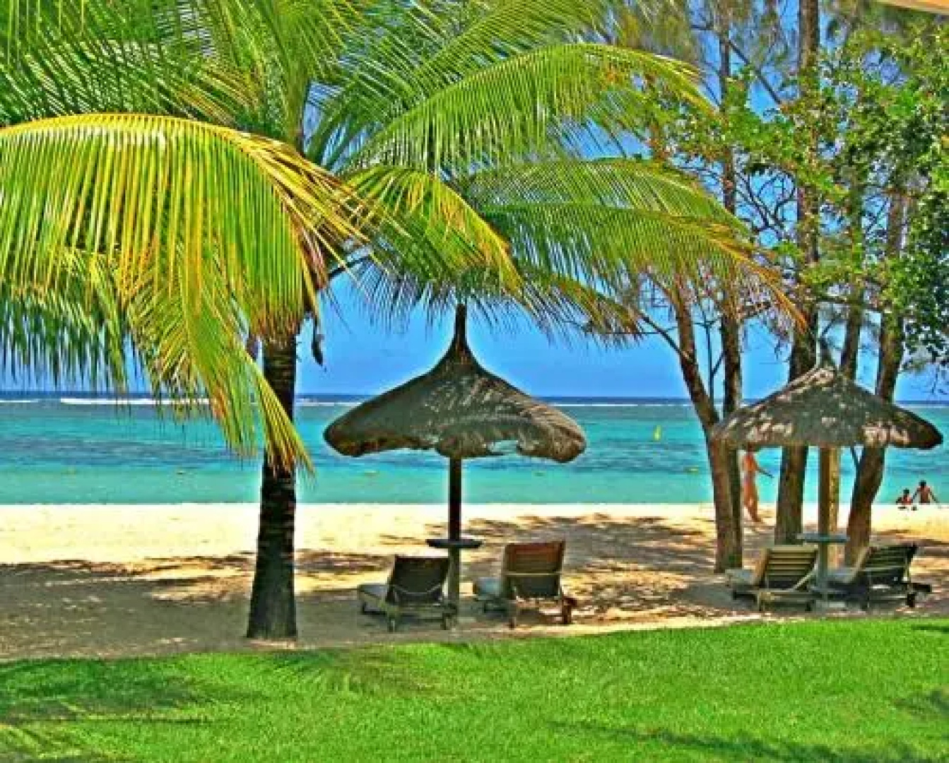 Mauritius365
