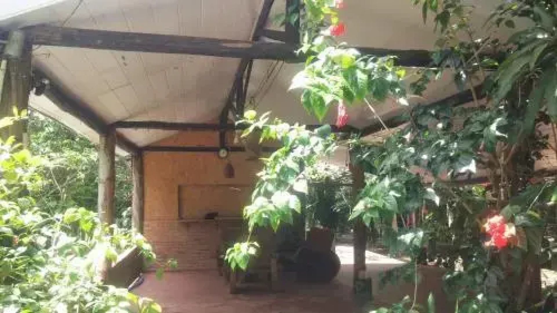 Amazon Hostel Iranduba