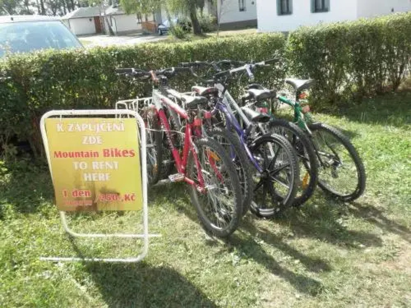 Family Bungalows & Camp