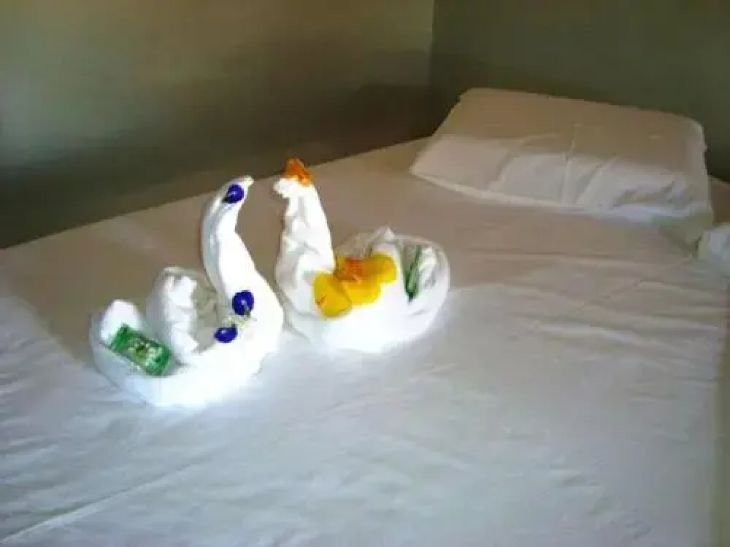 Hotel Pousada Beija Flor