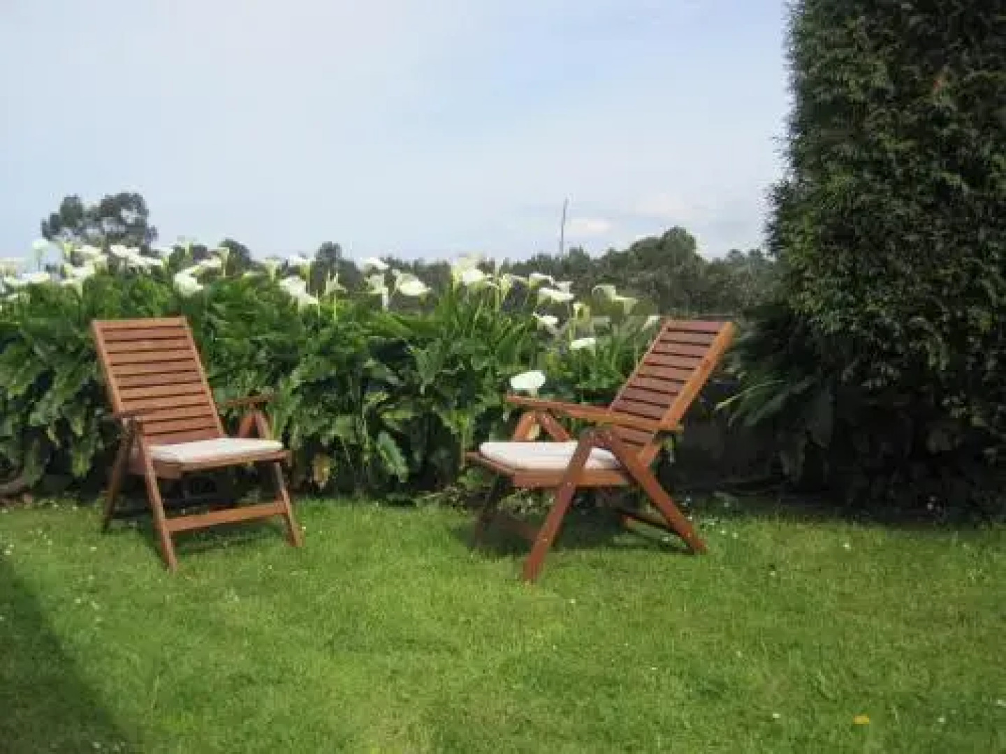 Apartamentos Óscar Valle