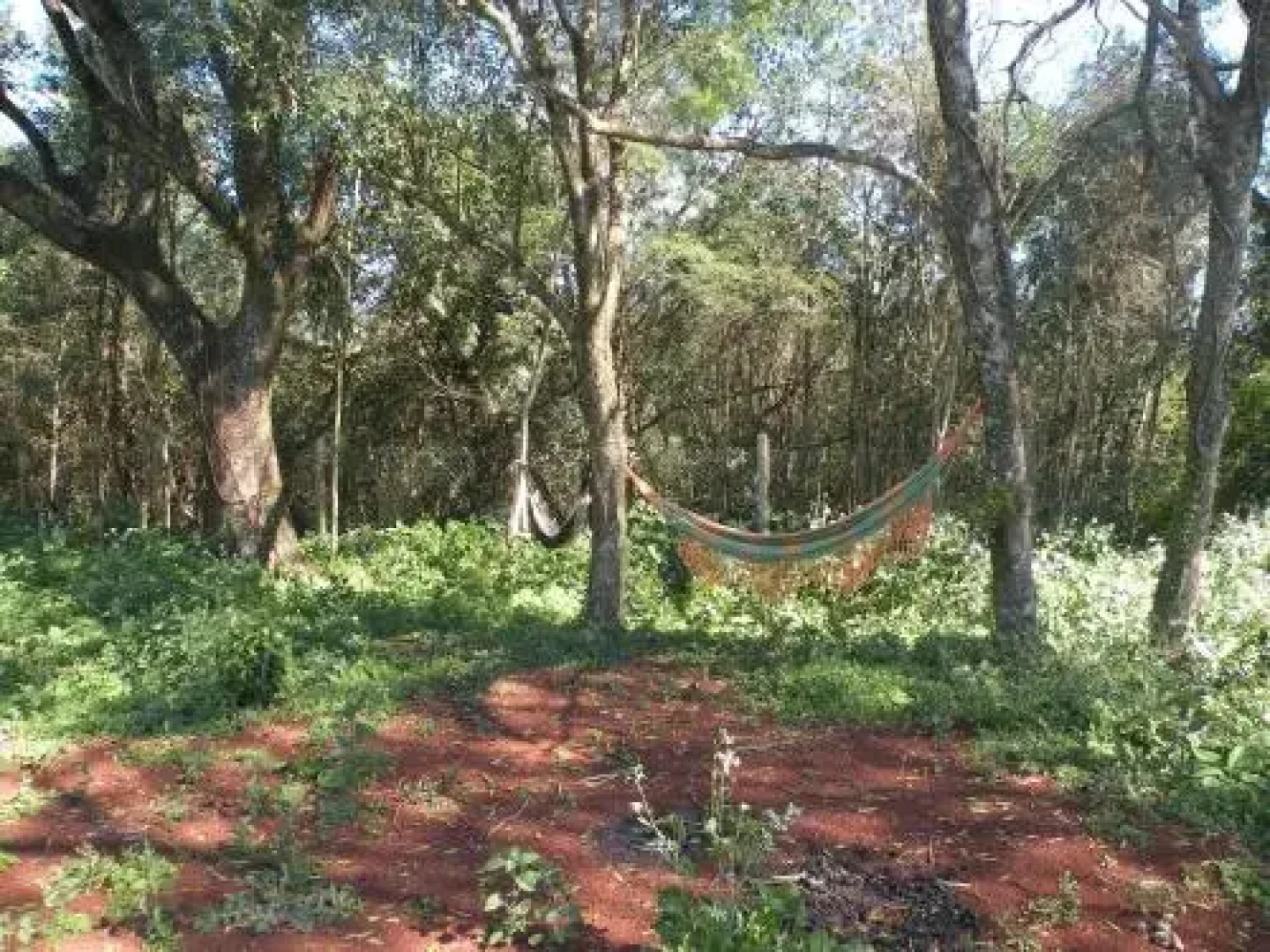 Pousada Chácara Mamma Gaia