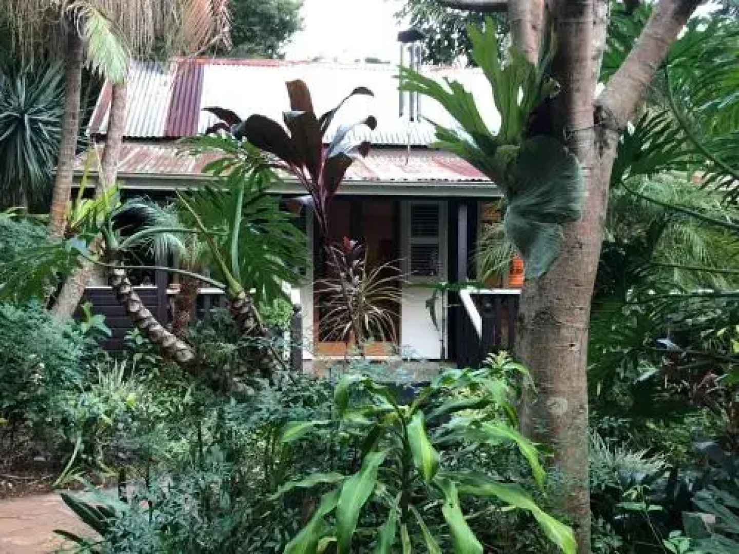 Coco's Cottage in the Byron Bay Hinterland