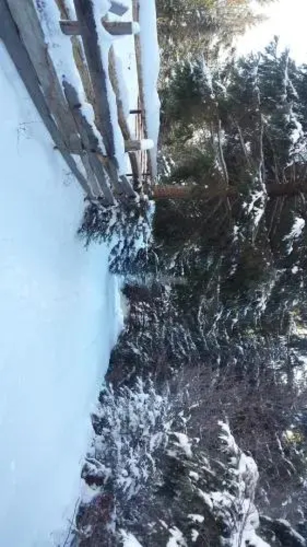 BUKOVINA