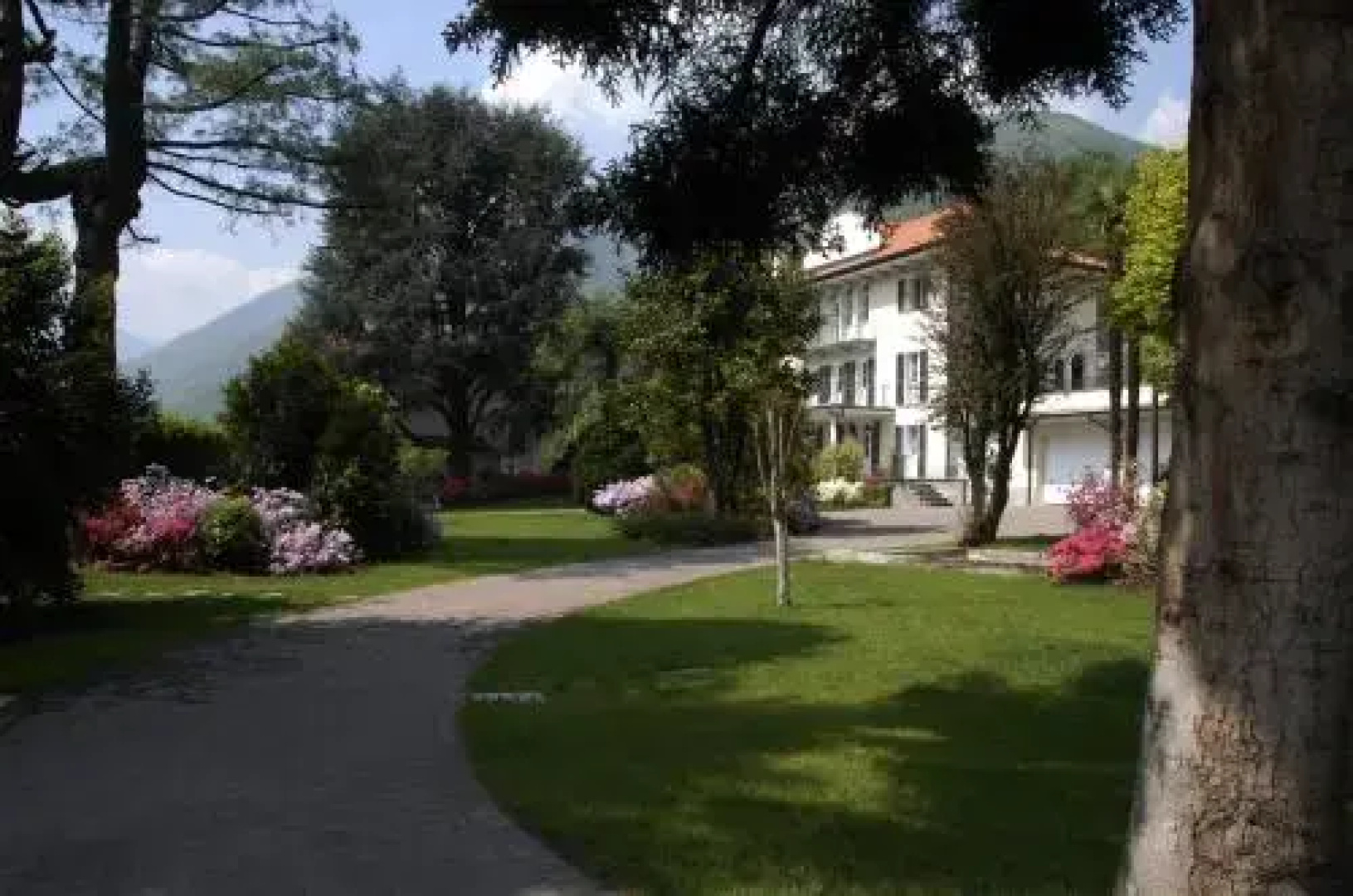 B&B Le Camelie