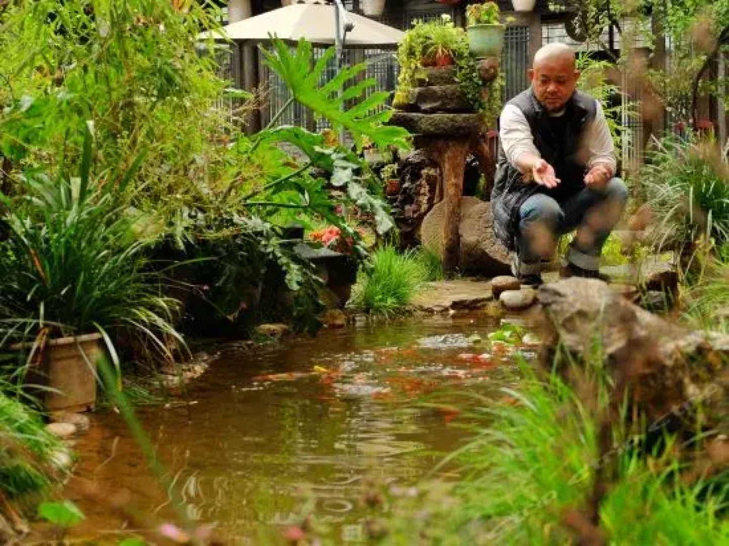 Lijiang Baisha Hui Lu Zhuang Inn