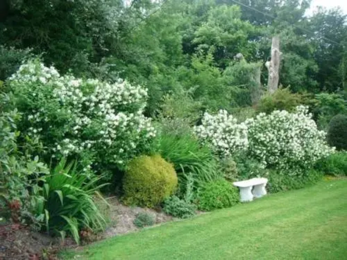 Hawthorn Lodge B&B