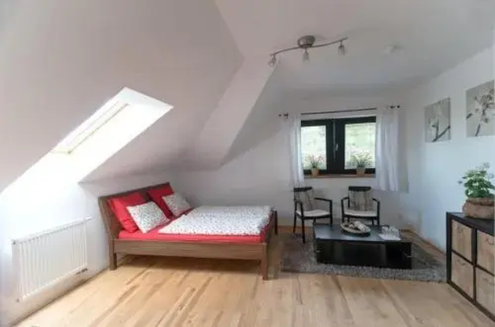 Rybolov pro děti a dospělé