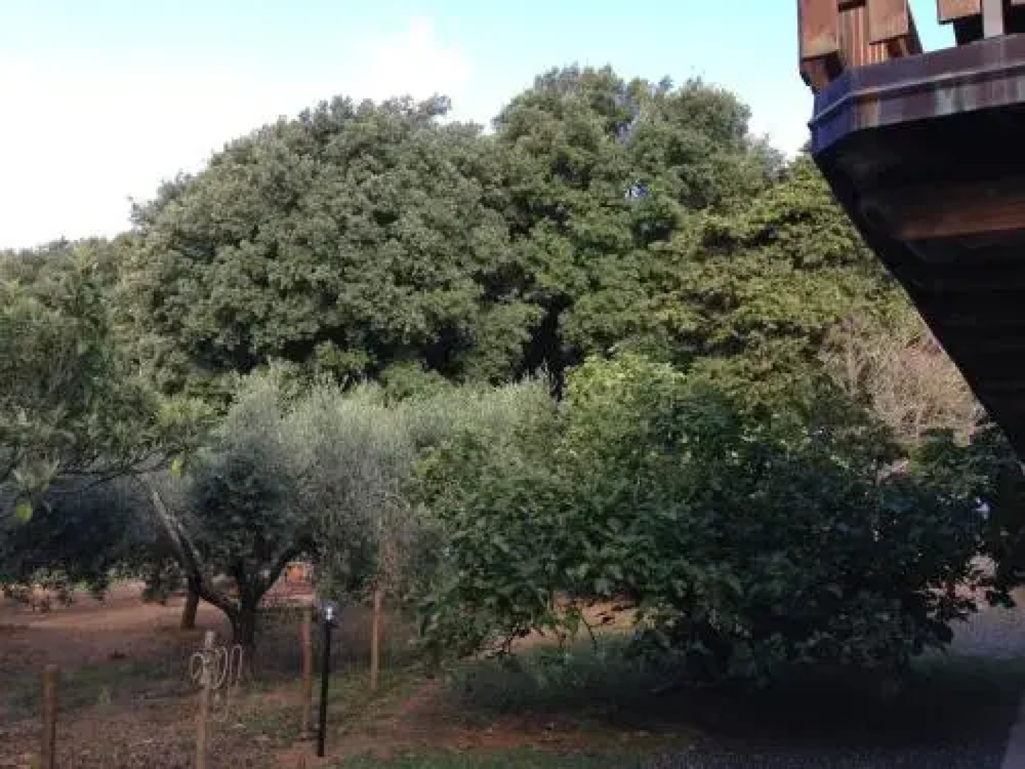 Agriturismo "La Rosa Canina"