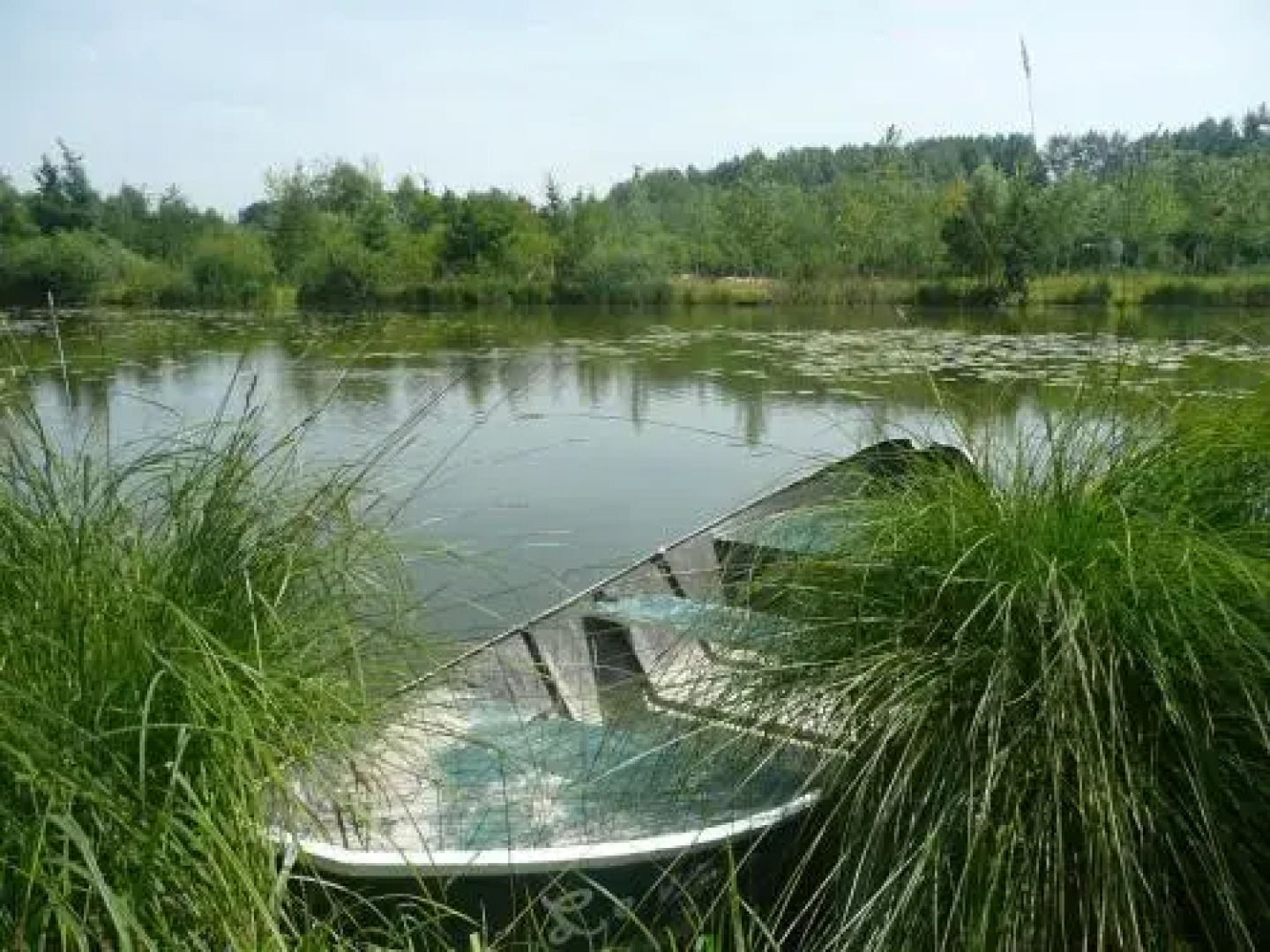 Camping du Vivier aux Carpes