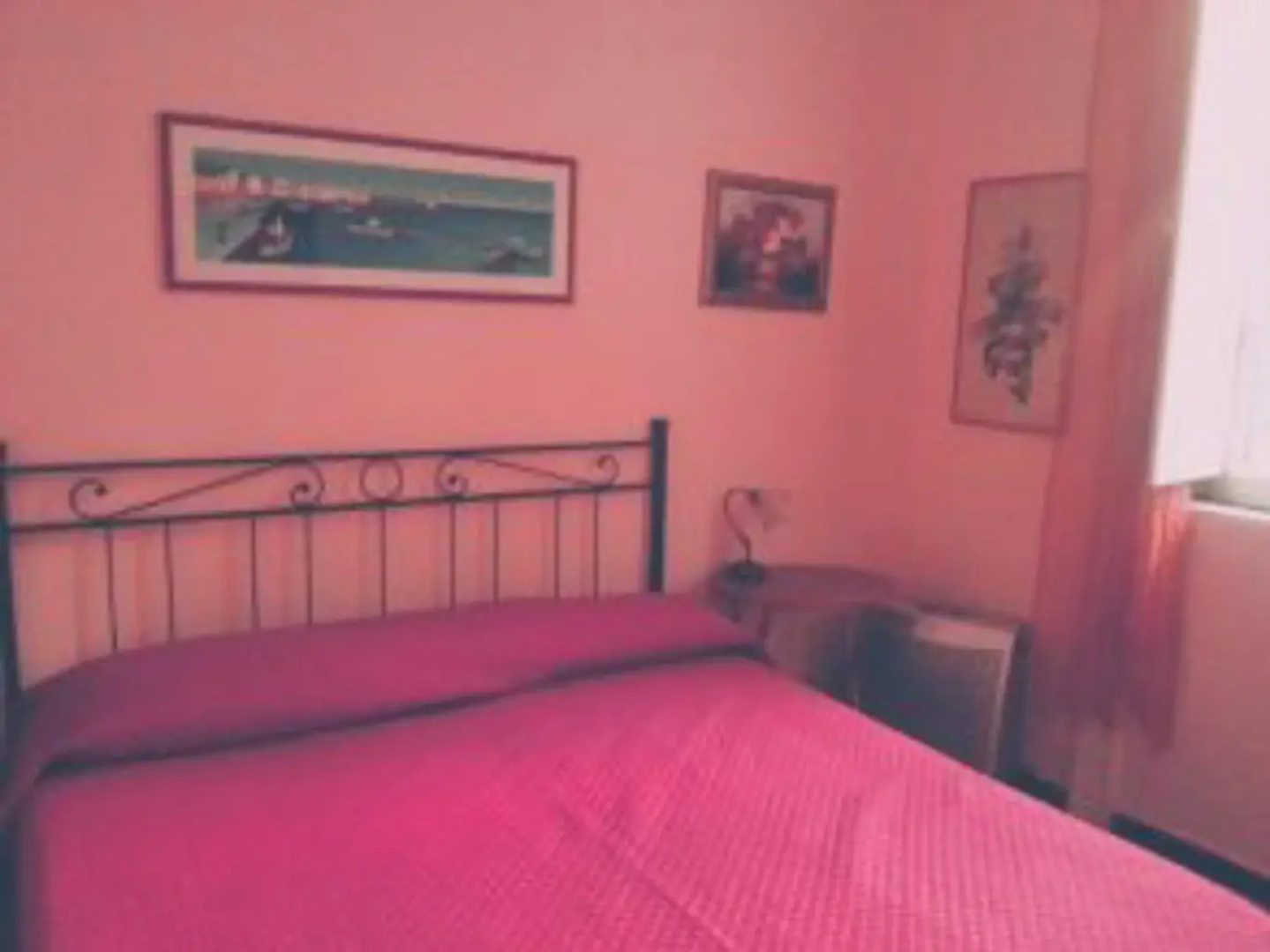 Stella's House