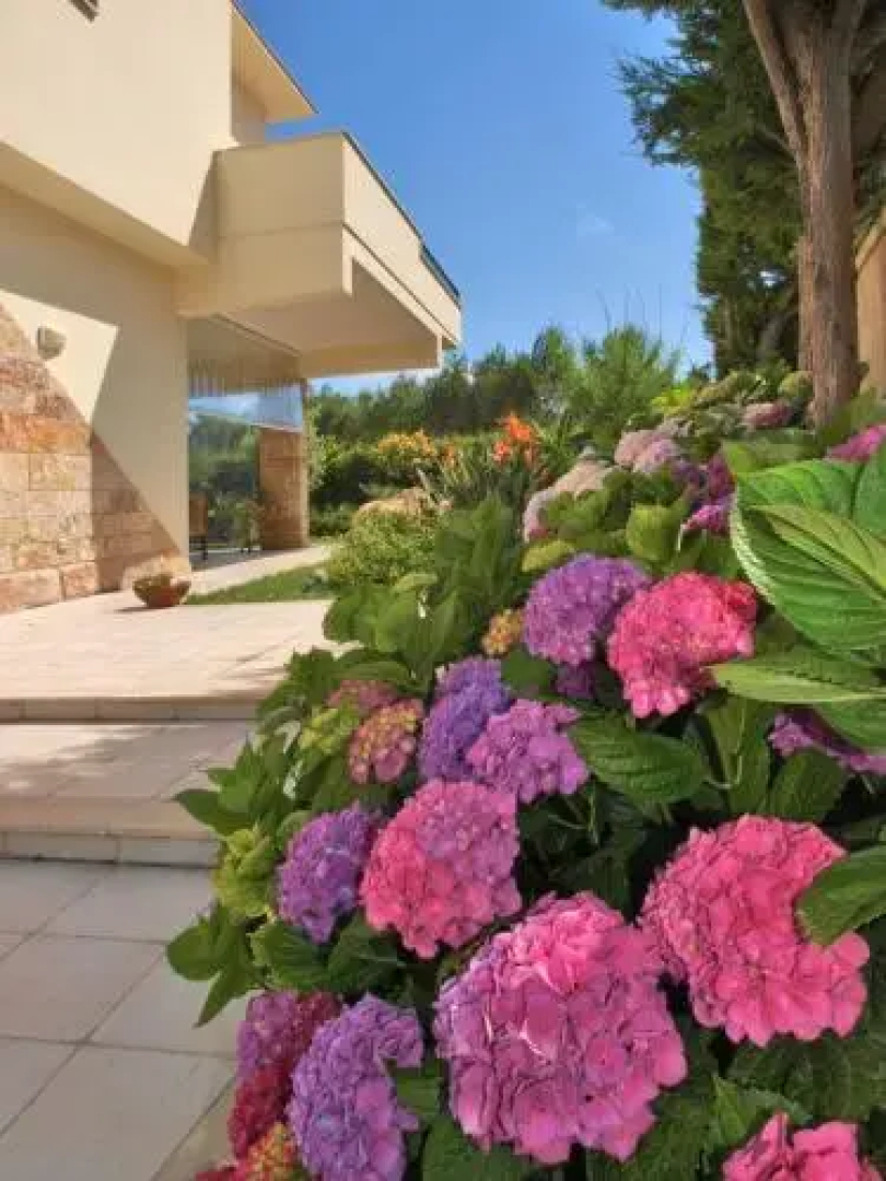 Villa Neptunia