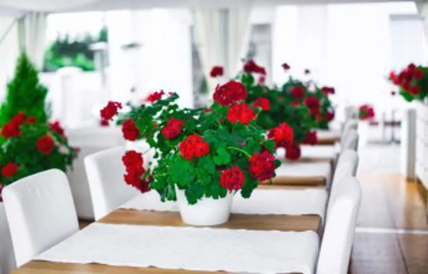 Villa Harmonia Bed & Breakfast