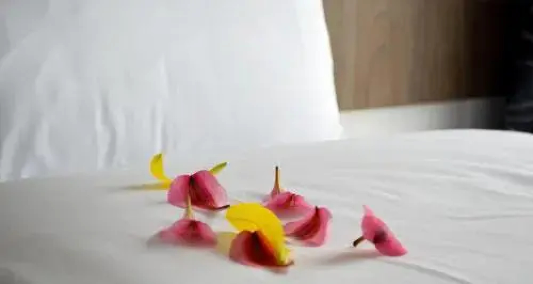 Slaney Suites