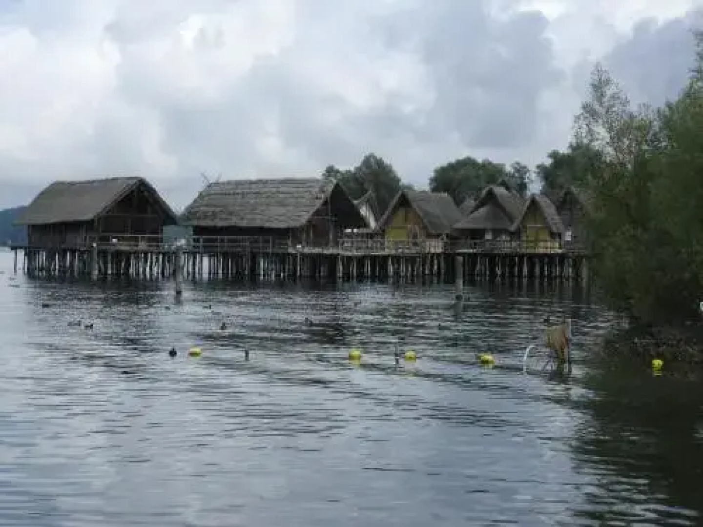 Ferienwohnung am Bodensee