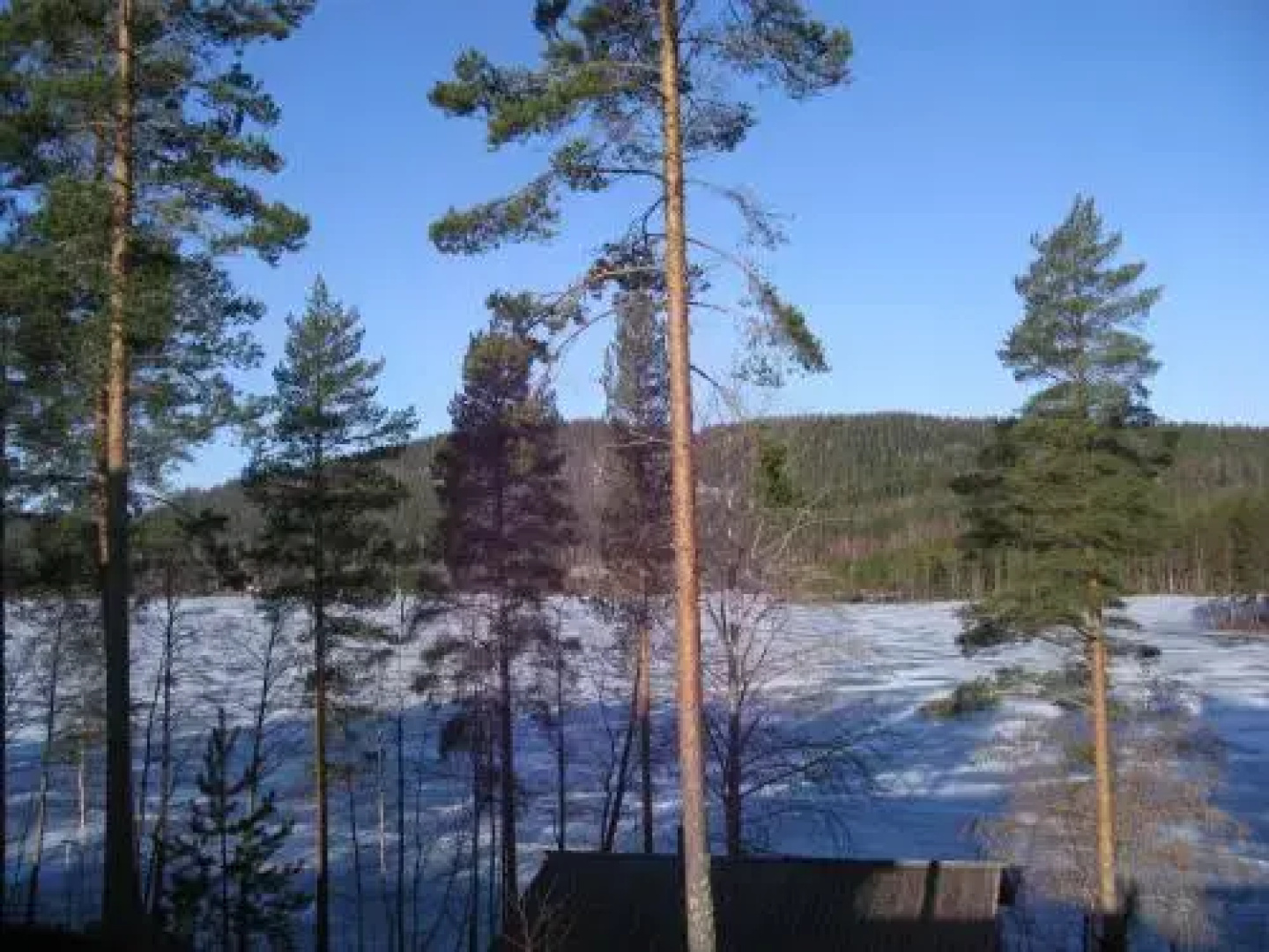 Kolin saunaharju