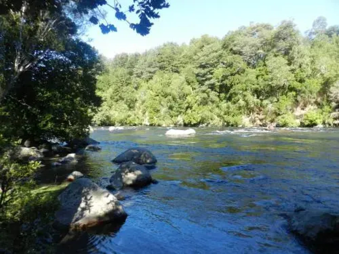 Cabañas Allipen