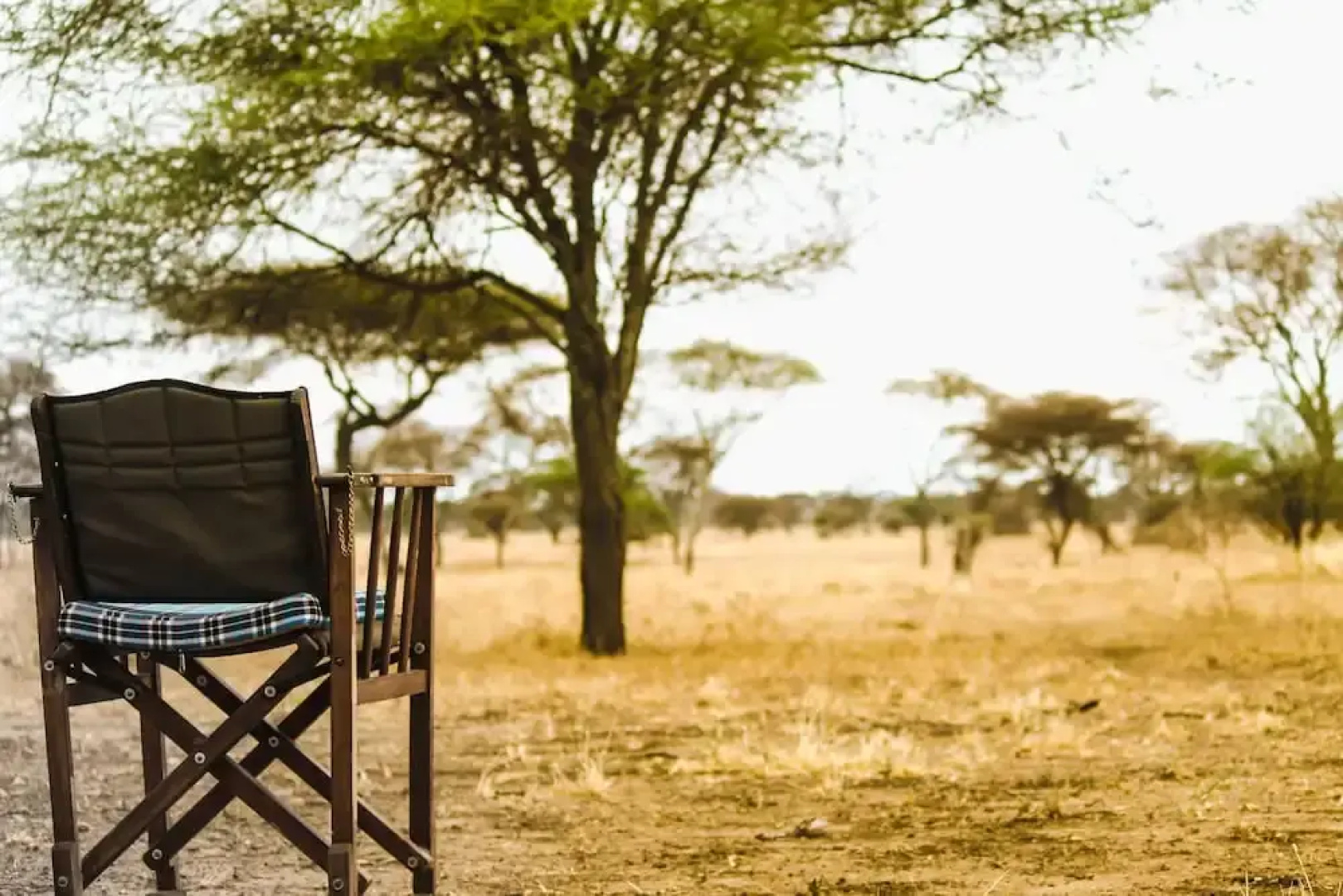 Corfield Camp Tarangire