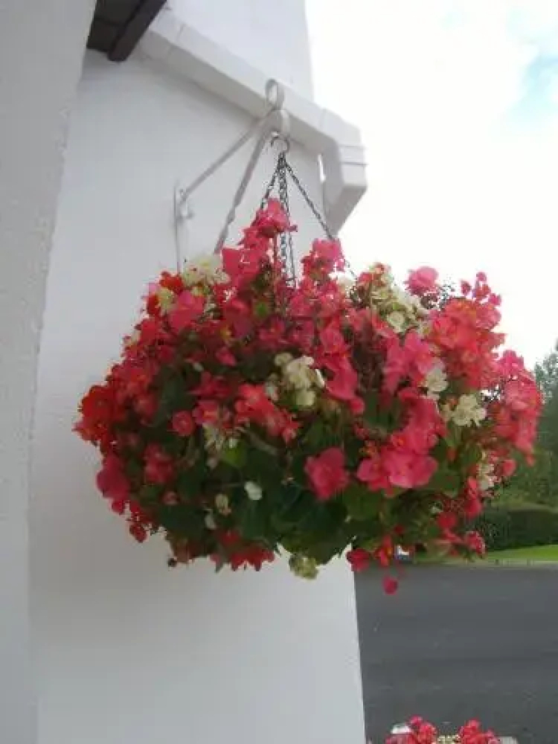 Parkhouse B&B