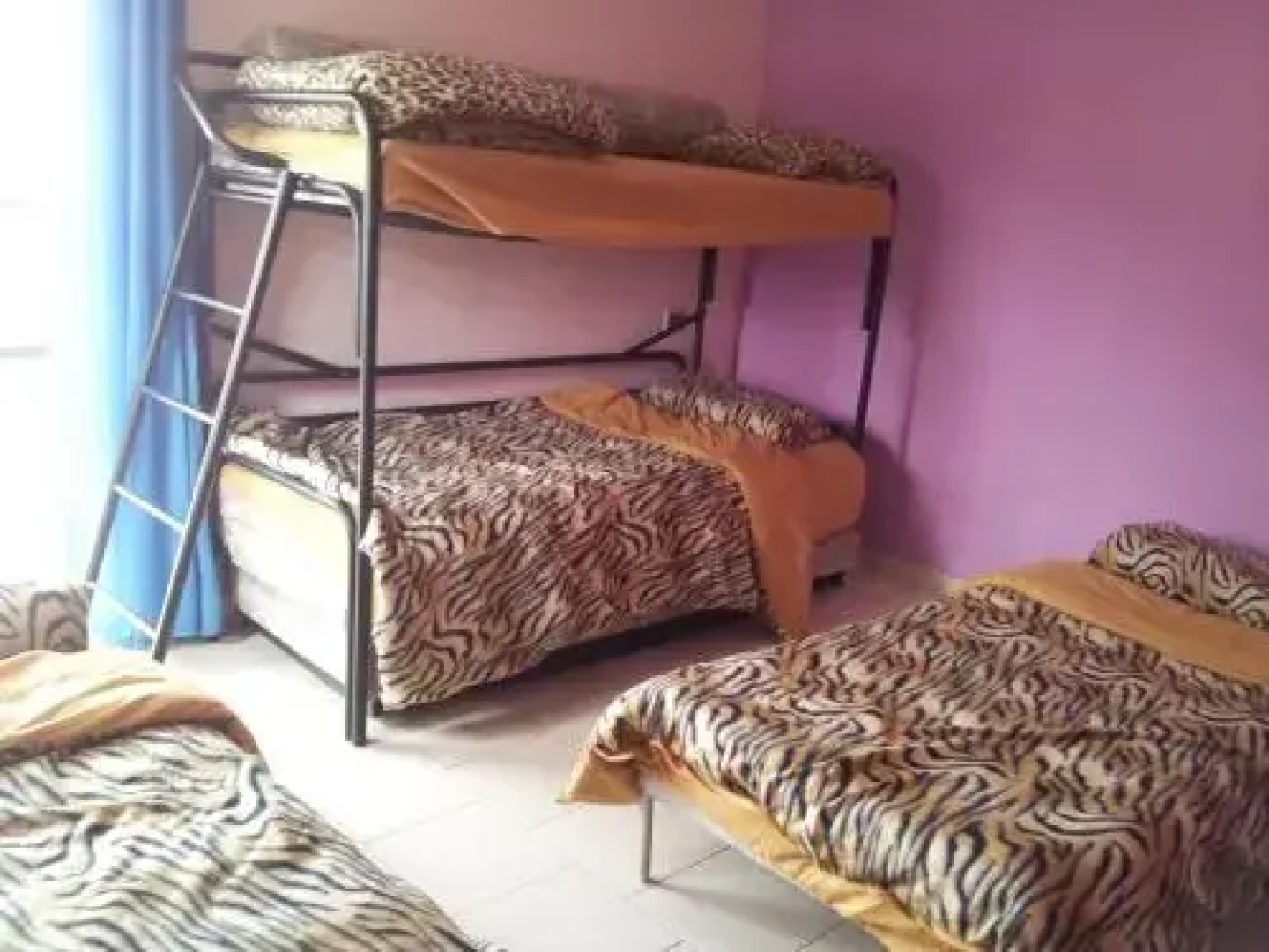 Safed Kinneret View Apartment