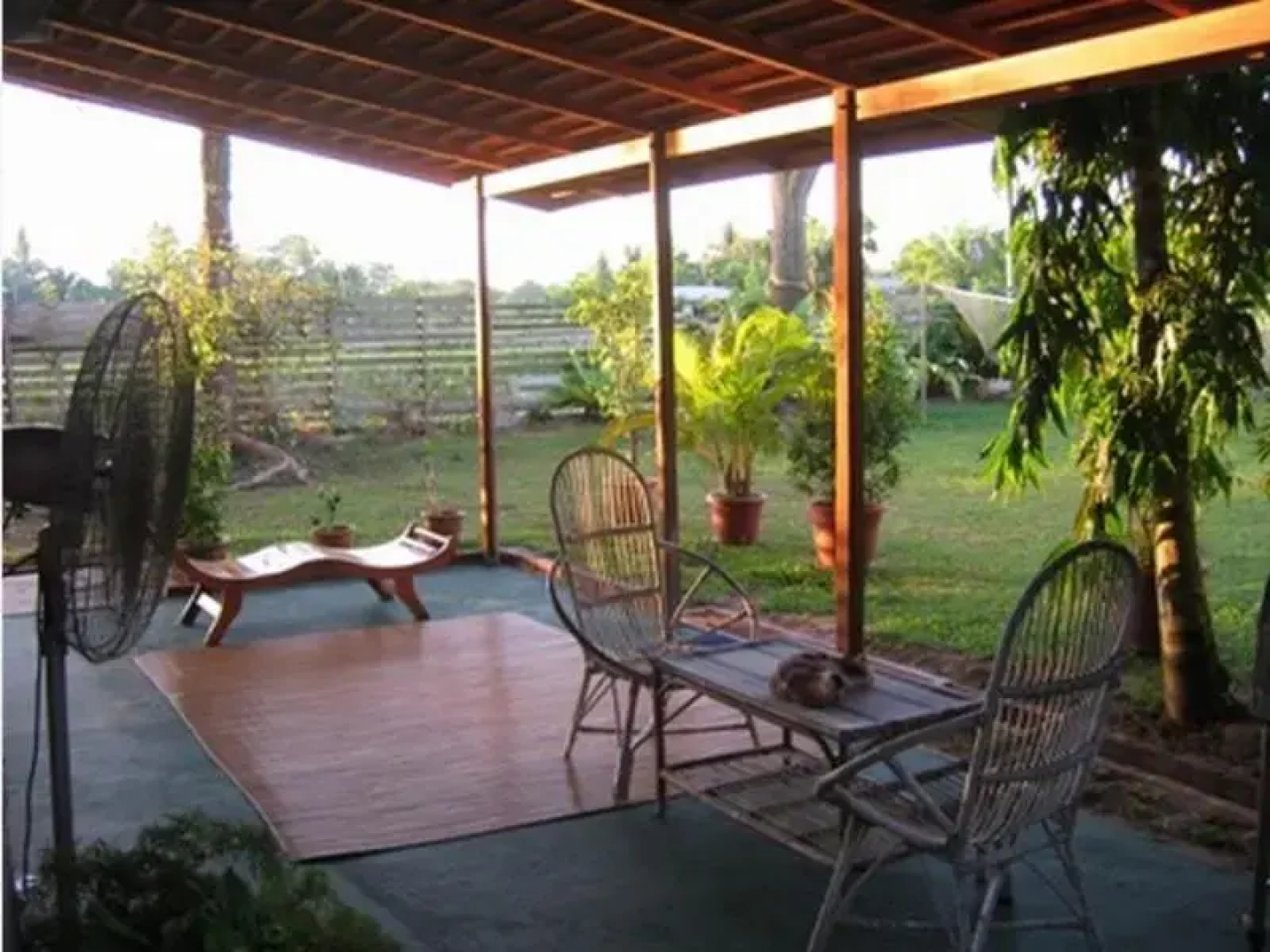 Treetops Jungle Lodge