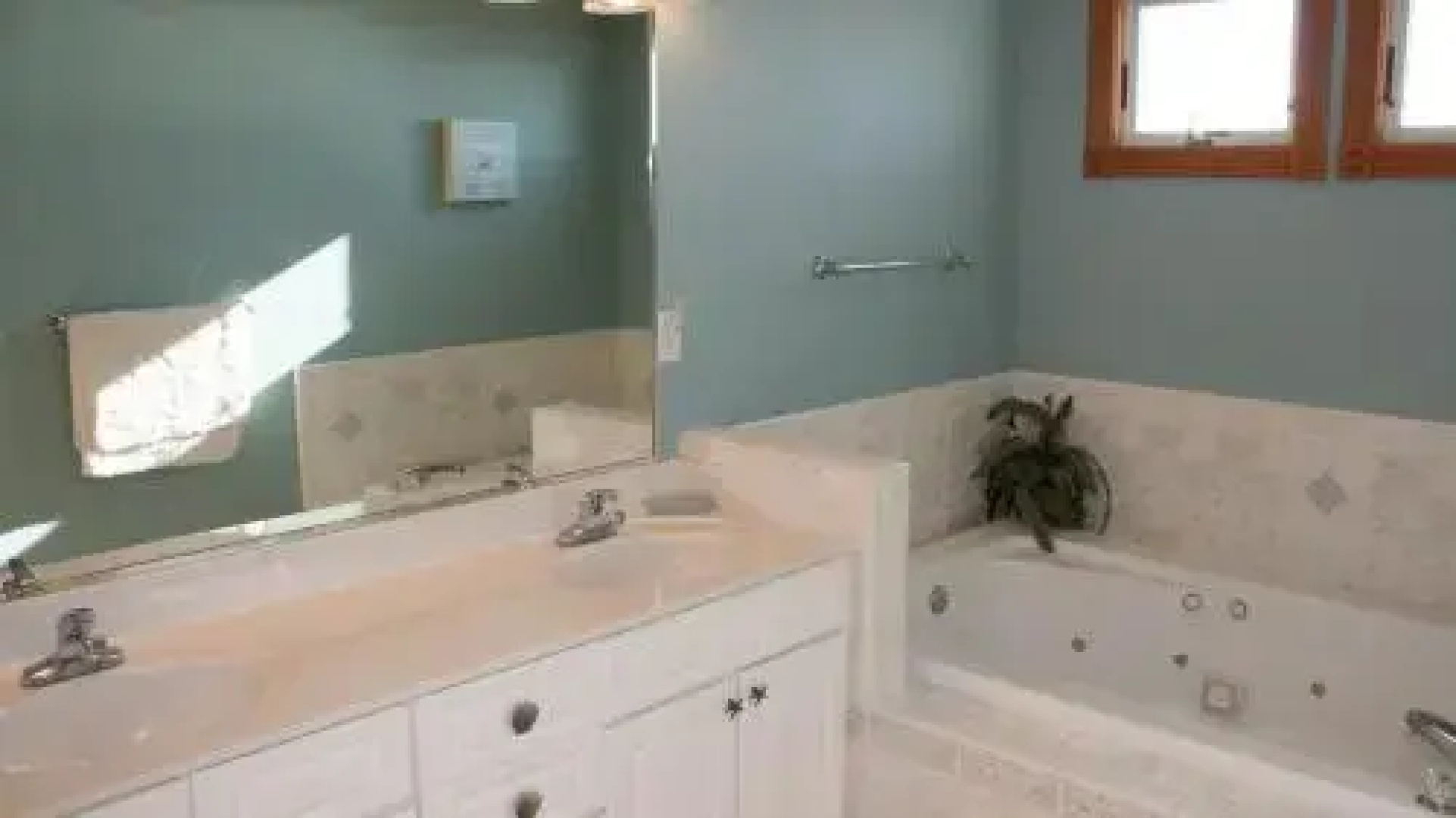 Double Duck - 4 Br Home
