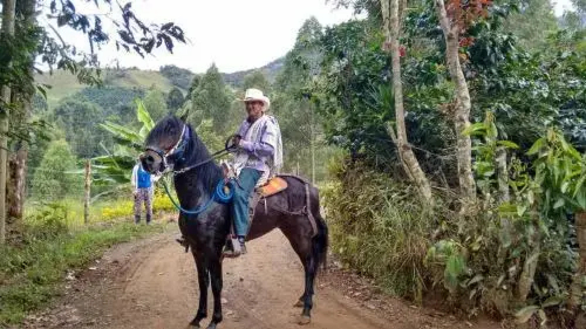 La Tángara hostal rural