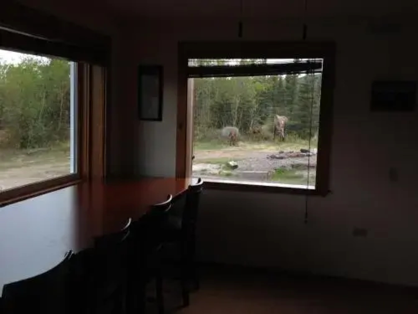 Denali Nightly House Rentals