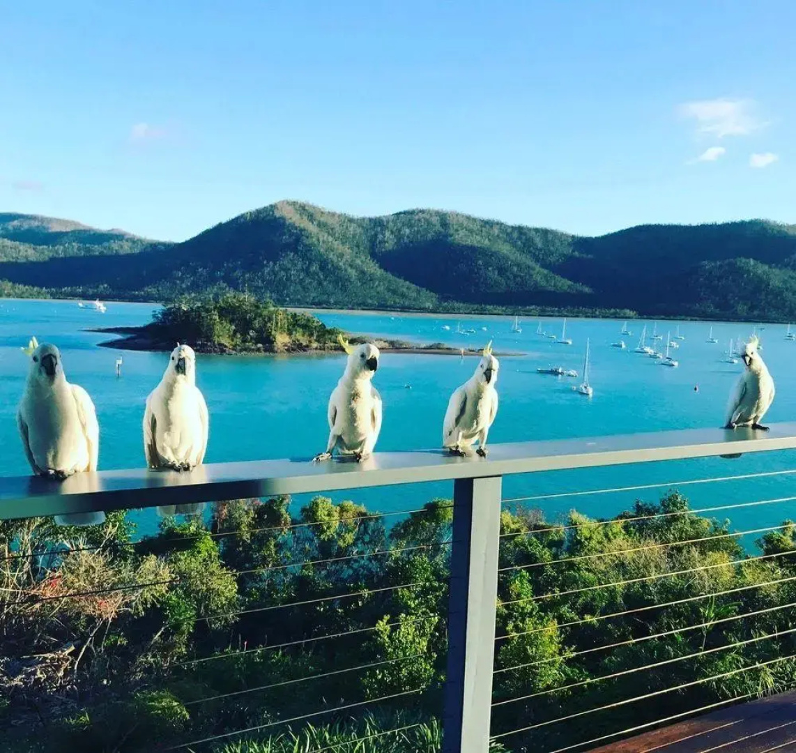 The Point Whitsunday Retreat