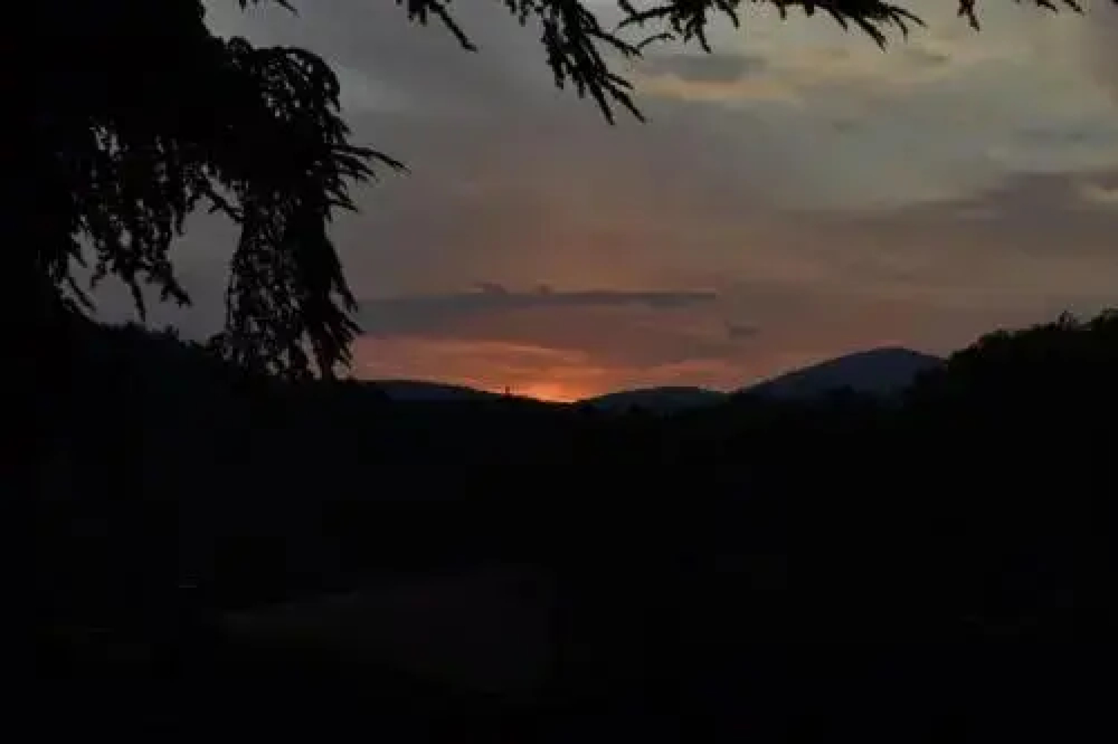 La Ginestra