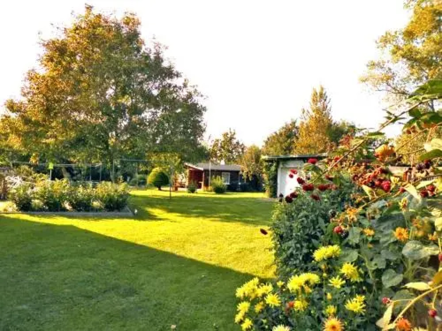 Bungalow und Ferienwohnung auf Rügen