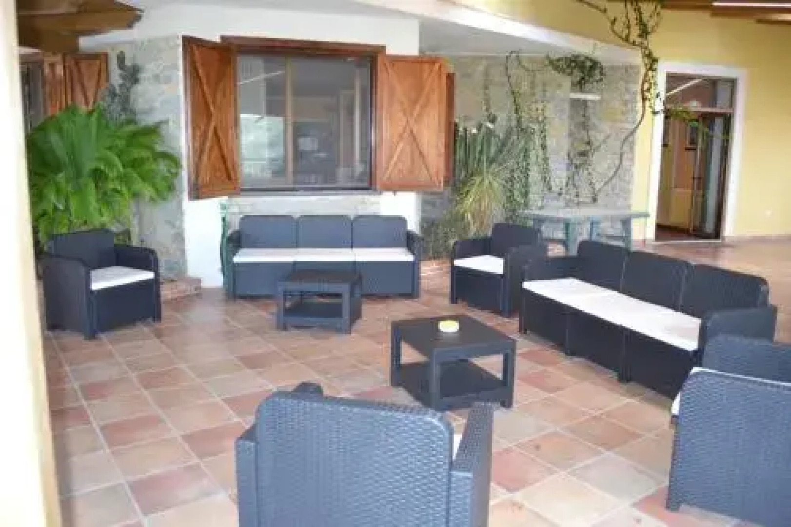 Il Falco del Cilento