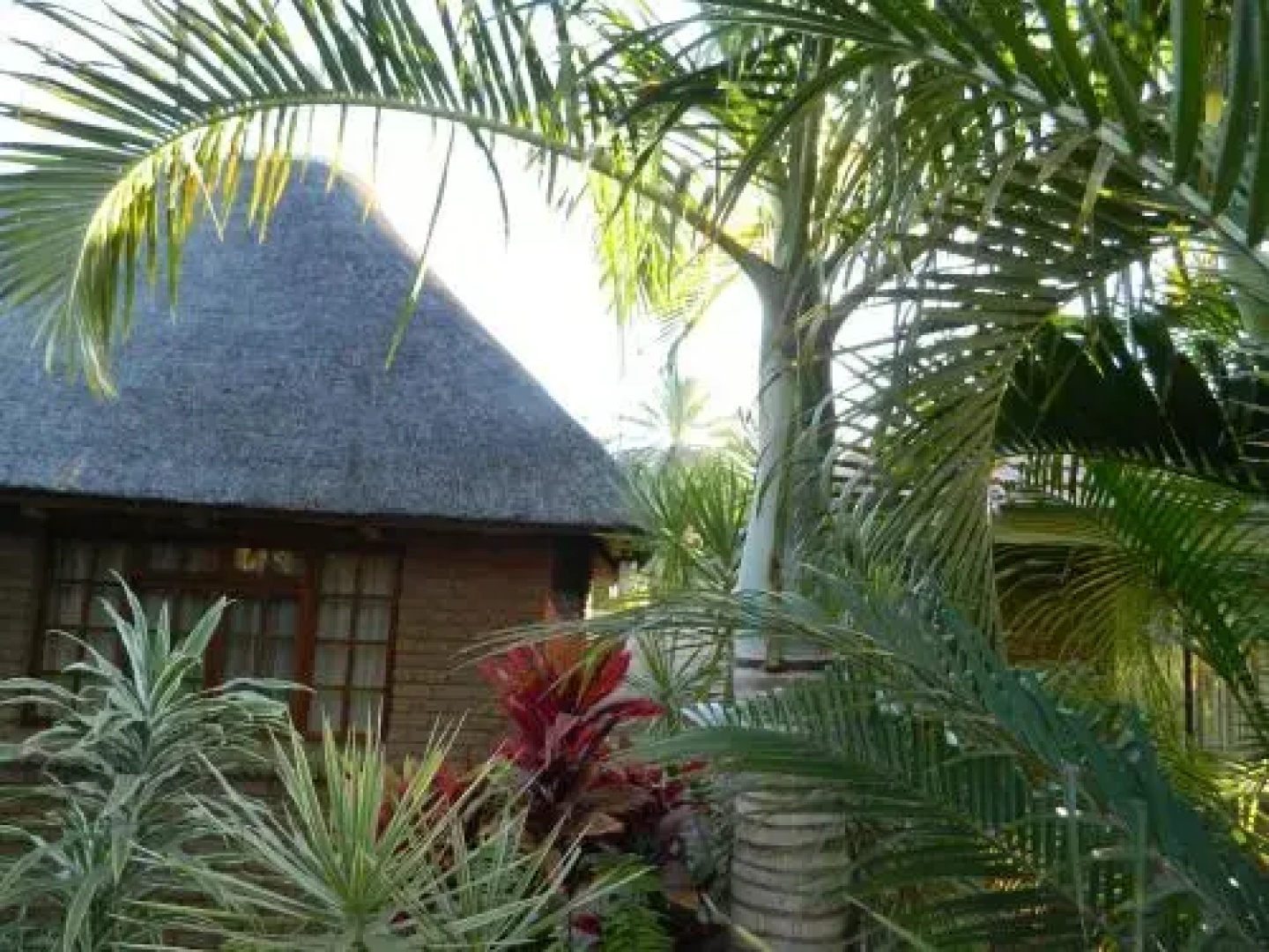 Bushmen Inn