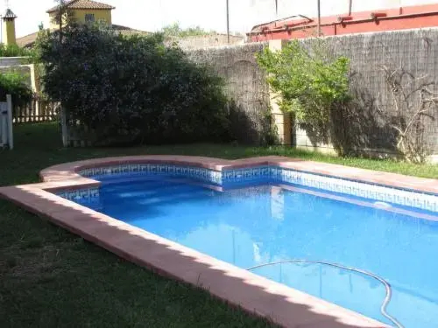 Orégano